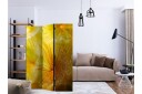 Romdeler - Soft dandelion flower 135x172 - Artgeist sp. z o. o.