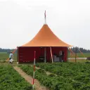 Forsamlingstelt Cava Masteseil Duk 10