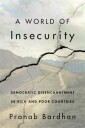 A World Of Insecurity Av Pranab Bardhan
