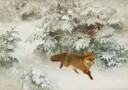Fox in Winter Landscape By Bruno Liljefors No. 1 Plakat Plakat / 70x100cm
