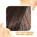 Wella Color Fresh 6/0 Dark Blonde