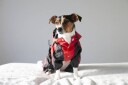 God Regndress For Hund Parkdress