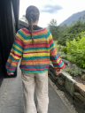 Dale Garn 481 25 Stripes Jakke