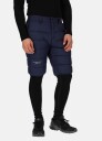 Swedemount Östersund Down Shorts 2.0