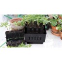 Nelson Garden Rootmaster Minidrivhus svart, Avling
