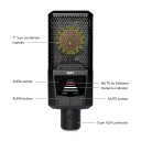 Lewitt RAY Microphone