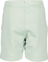 Didriksons Corin Powerstretch Shorts Pale Mint 80