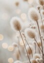 Fluffy Plant Stems Plakat Plakat / 70x100cm