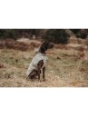 Hunter Regnfrakk Milford 70 cm Taupe for Hund