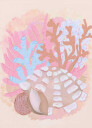 Pink Seashells Plakat Plakat / 21x30cm