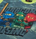LEGO® Ninjago T-skjorte - LwTaffy 302 - Lysegrønn m. Trykk - LEGO® Wear - 6 år (116) - T-skjorte