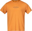Bergans Men's Graphic Wool Tee Oransje XL Man