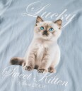 Name It Genser   NkfVotea   Dempet Blue/Kattunge   Name It   11 12 år (146 152)   Genser Blå Lyseblå
