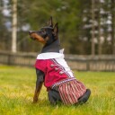 Hundebunad Til Tispe Med Sølje | 17. Mai Festdrakt Til Hund