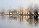 january morning  Poster Plakat / 21x30cm