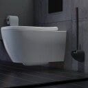 Sanimaid Copenhagen Hygienic toalettbørste, sort