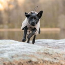 Non-stop Dogwear Badekåpe Tørkedekken til Hund 65 cm Beige