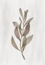 Plant Art No. 1 Plakat Plakat / 70x100cm