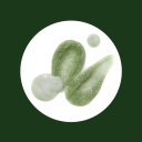 Kundal Matcha & Kale Clarifying Sea Salt Scalp Scrub - Herb Mint