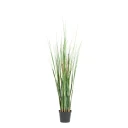 Mr Plant Gress 95 cm