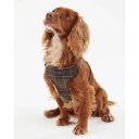 Barbour unisex Sport Flerfarget S,