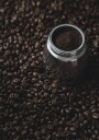 Coffee Beans No. 1 Plakat Plakat / 70x100cm