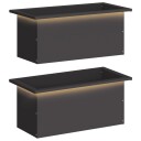 vidaXL Hageplantekasse med LED 2 stk. Svart 30 x 60 x 30 cm Stål