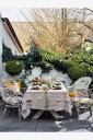 Chamois   Linduk Paradise   Gul