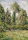 Poplars Éragny By Camille Pissarro Plakat Plakat / 21x30cm