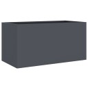 Plantekasse antrasitt 62x30x29 cm kaldvalset stål
