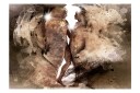 Fototapet Hidden Love 250x175 - Finnes i flere størrelser