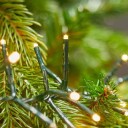 Nedis Julebelysning | Klynge | 768 LED's | Varm Hvit | 5.60 m | Lyseffekter: 7 | Innendørs eller utendørs | Nettstrøm drevet
