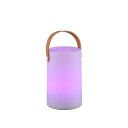 Trio Lighting Aruba oppladbar bordlampe