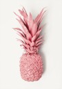 Pink Pineapple Plakat Plakat / 70x100cm