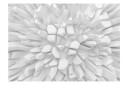 Fototapet White Dahlia 350x245 - Artgeist sp. z o. o.