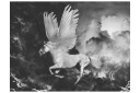 Fototapet Pegasus På Vei Til Mount Olympus 400x309 - Artgeist sp. z o. o.