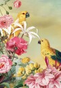 Birds From Paradise Plakat Plakat / 21x30cm