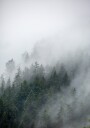 Foggy Morning 2 Plakat Plakat / 70x100cm