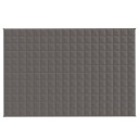Vidaxl Vektdyne grå 122x183 cm 5 kg stoff