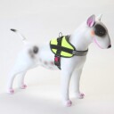 K9 populær ett-klikk  hundesele