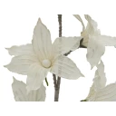 Europalms Clematis Branch EVA white