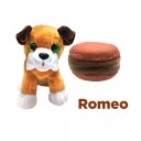 Sweet PupsRomeo