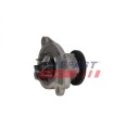 FAST FT04484 Vannpumpe