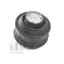 Motorfeste TEDGUM TED81021