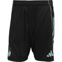 FC Copenhagen Treningsshorts Svart XS