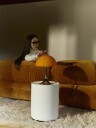 Panthella 250 Bordlampe Bærbar Original Opal Orange
