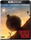 Coyote Vs. Acme (2026) / Per Ulv på saken