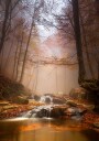 Mistyc mist Poster Plakat / 50x70cm