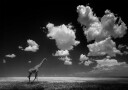 Gone with the Clouds Plakat / 40x50cm