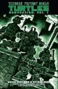 Teenage Mutant Ninja Turtles Compendium, Vol. 1 Av Kevin Eastman, Peter Laird
